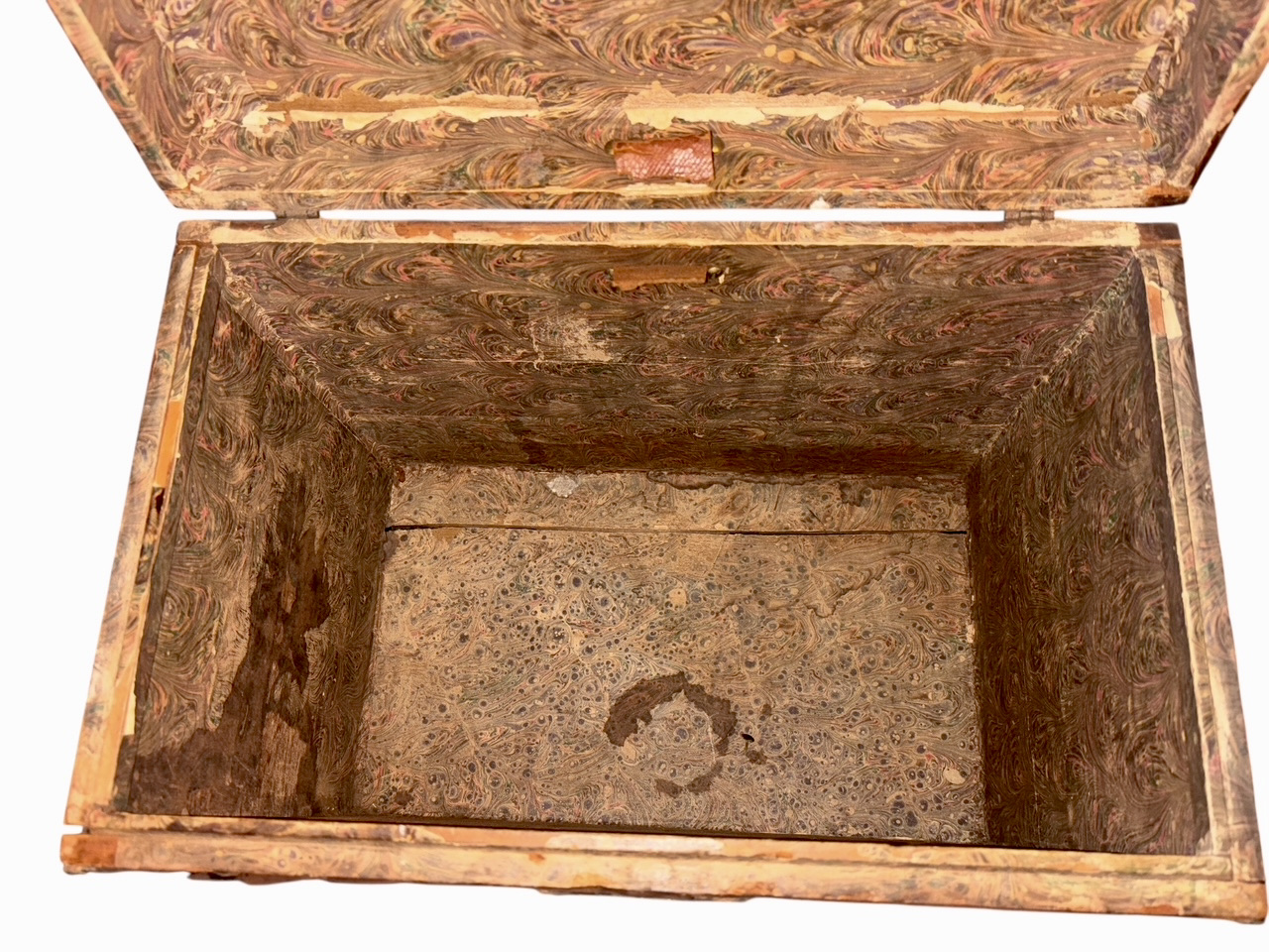 Photoroom_20260124_174559