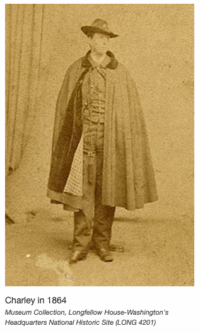 Screen Shot 2023-04-12 at 12.29.15 PM