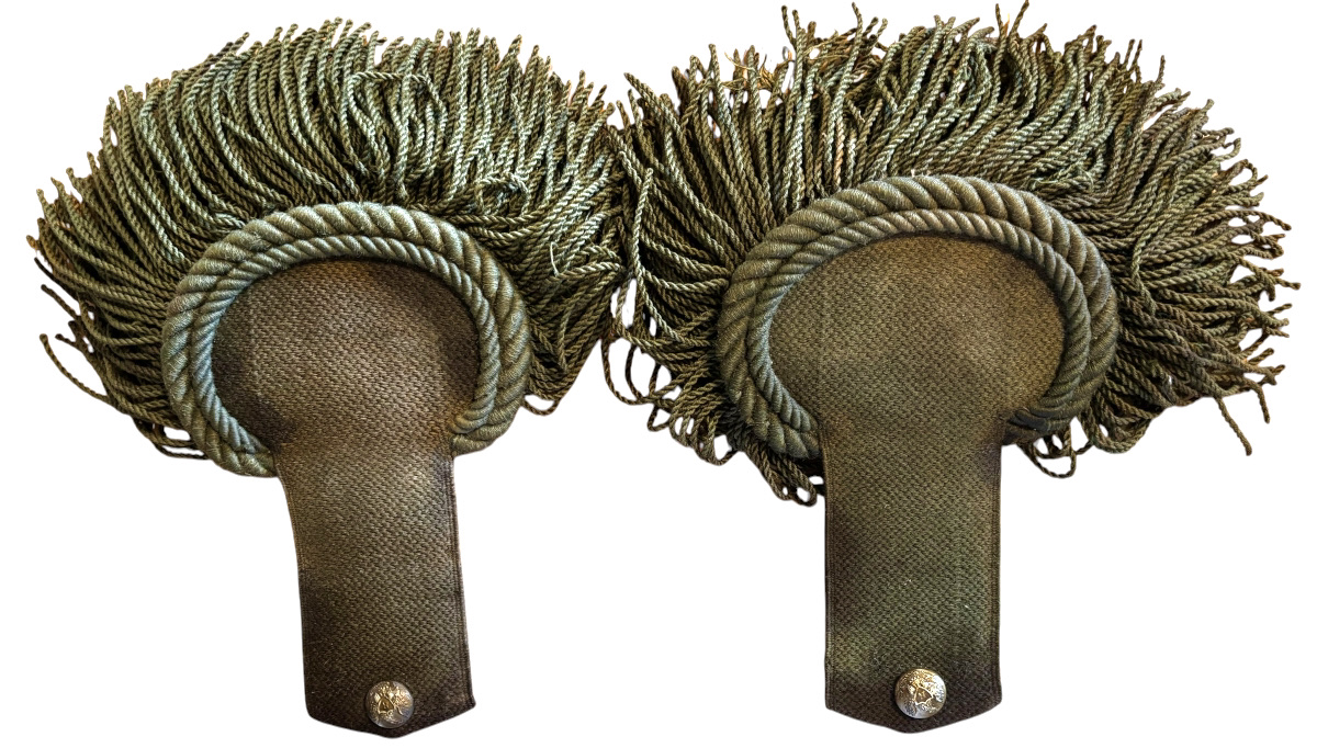 db11e16d-c23d-4392-8950-e0823f0fb0d8