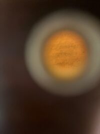 IMG_3842