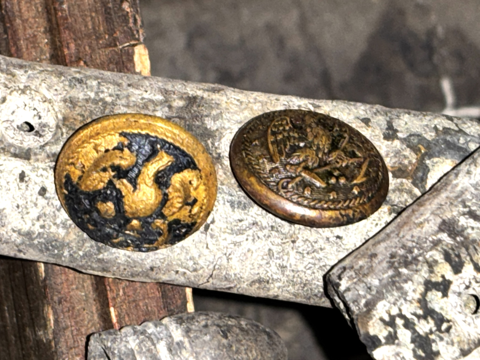 328c0535-d2f0-4b7e-a997-29b0200ee0e5