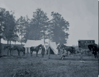 Screen Shot 2024-08-24 at 10.51.46 PM