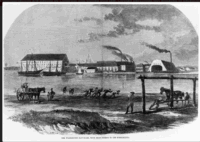 Screen Shot 2025-10-28 at 11.24.02 AM