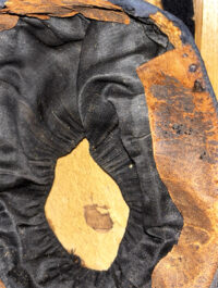 5b440ab8-3d3e-4c9e-a615-010ca25e77dc