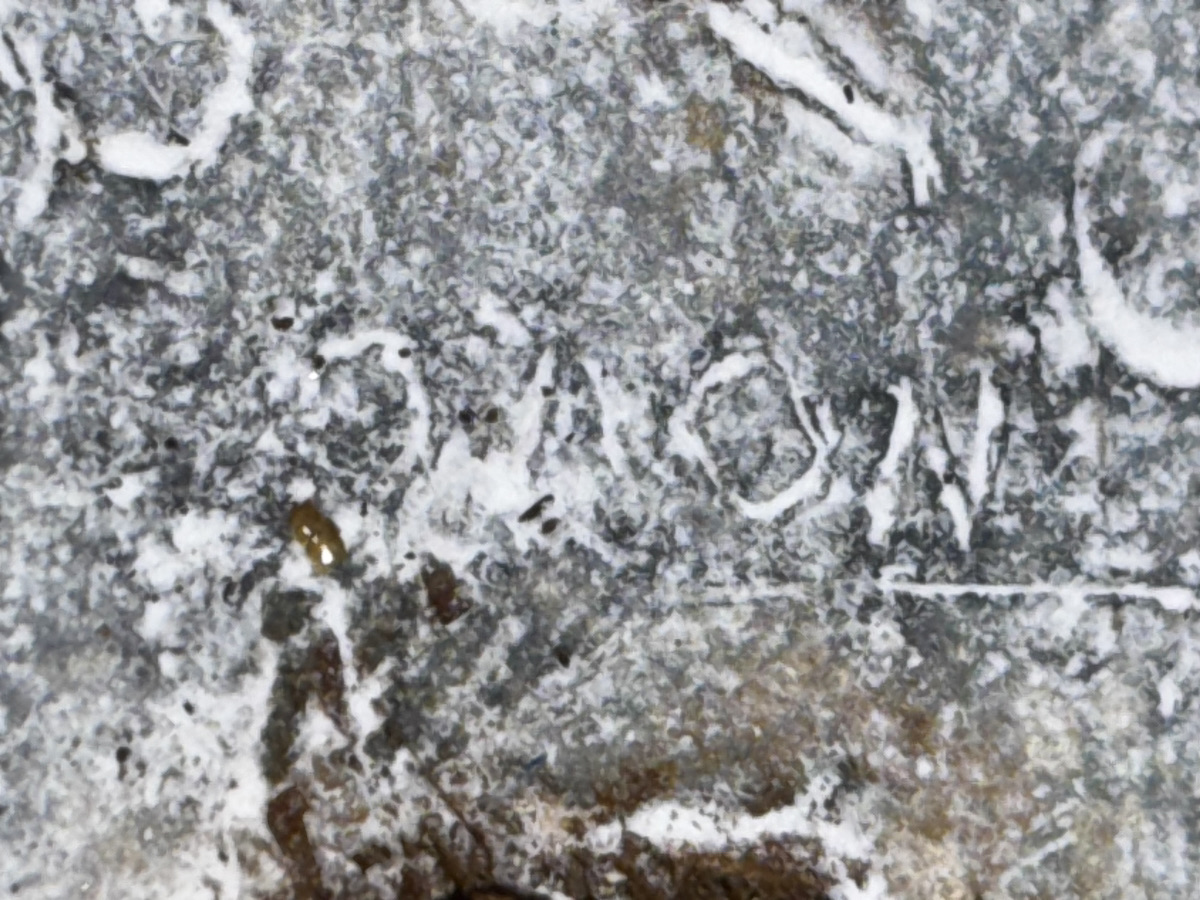 c75ed955-39e6-42c6-81d6-5bdfd478a96b