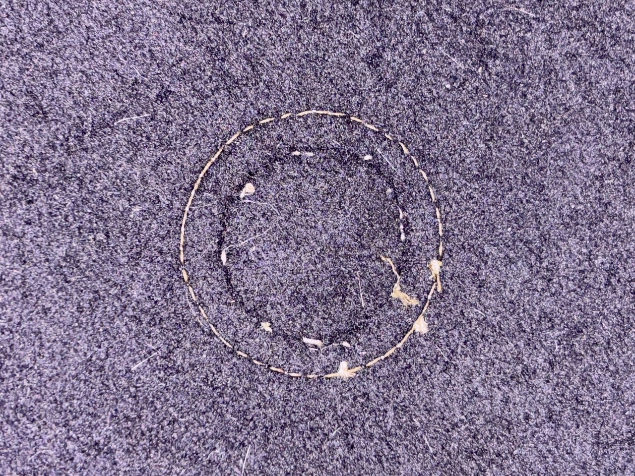 Photoroom_20251213_142357