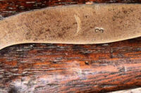 Photoroom_20251225_221050