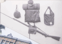 Screen Shot 2025-11-06 at 2.48.44 PM