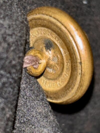 Photoroom_20260105_093702