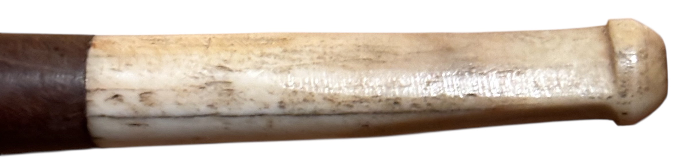 Photoroom_20260122_221553