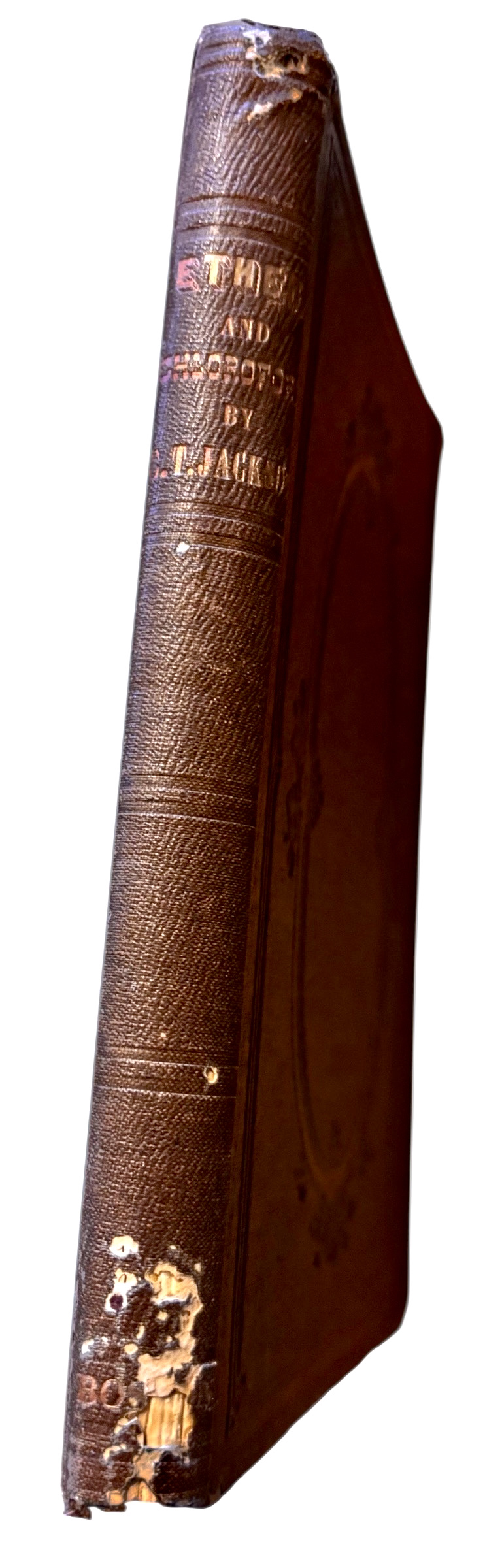 Photoroom_20260123_150132