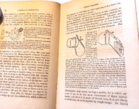 Photoroom_20260123_150324