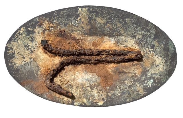 Photoroom_20260124_091807