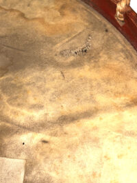 Photoroom_20260126_212524