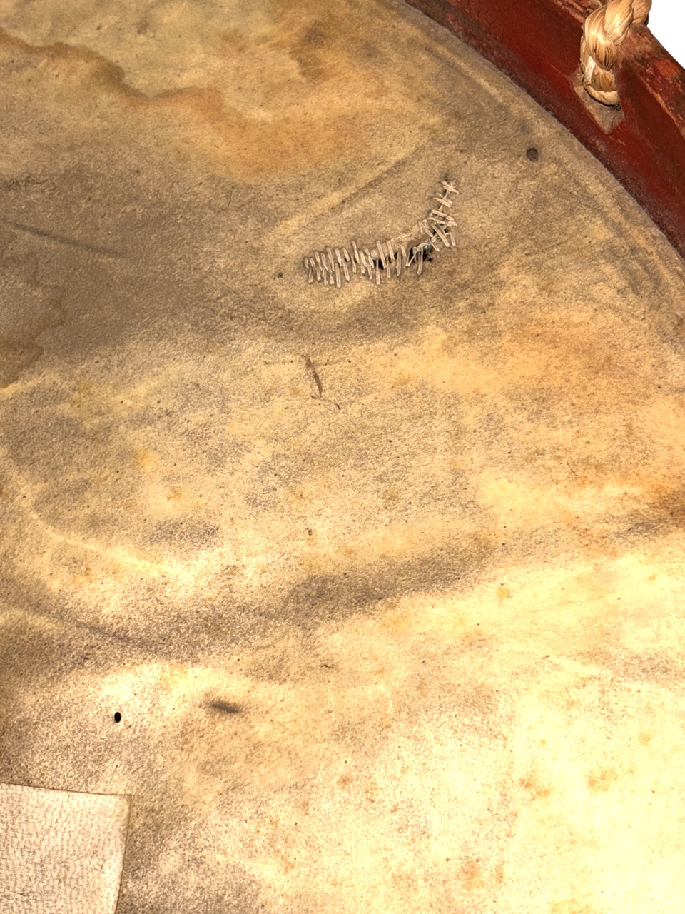 Photoroom_20260126_212524