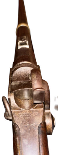 Photoroom_20260128_230831