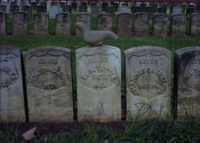 Screen Shot 2026-01-19 at 10.51.10 PM