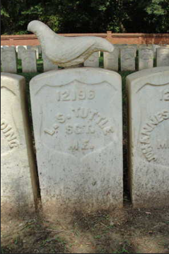 Screen Shot 2026-01-19 at 10.51.25 PM