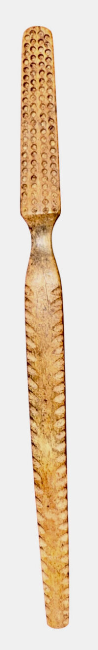 Photoroom_20260202_213303