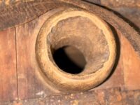 Photoroom_20260208_105843