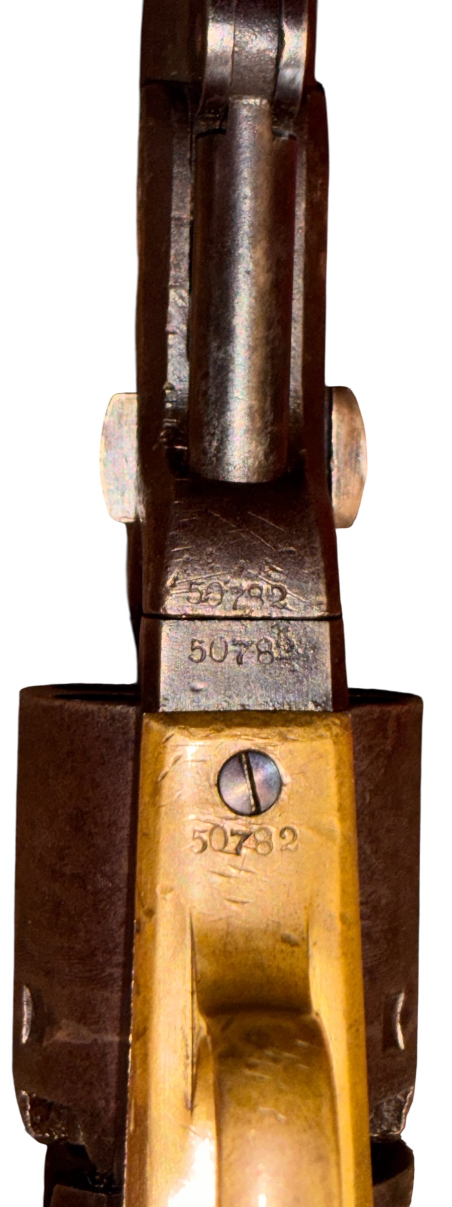 Photoroom_20260214_225554