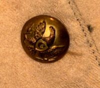 Photoroom_20260215_173748