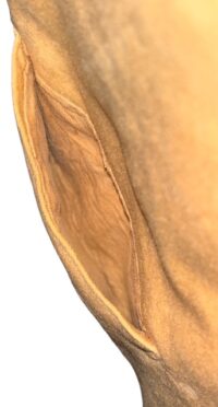 Photoroom_20260215_173901