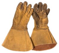 Photoroom_20260215_174314