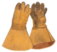 Photoroom_20260215_174349