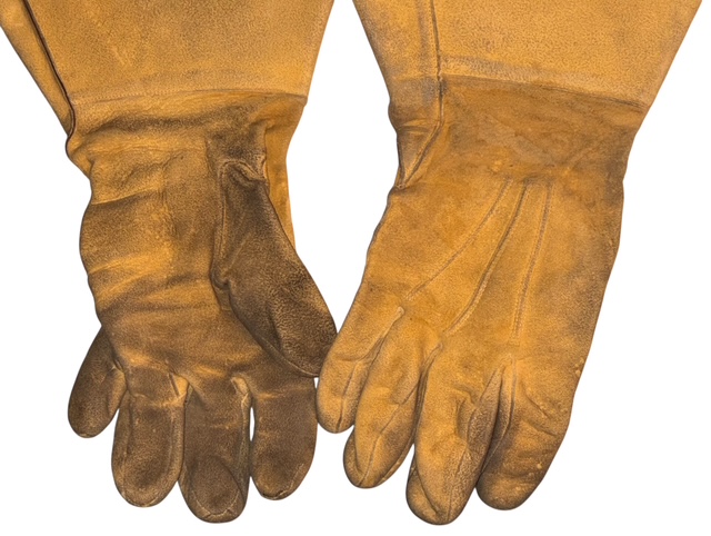 Photoroom_20260215_174427