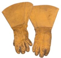 Photoroom_20260215_174540