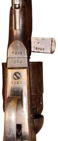 Photoroom_20260216_152507