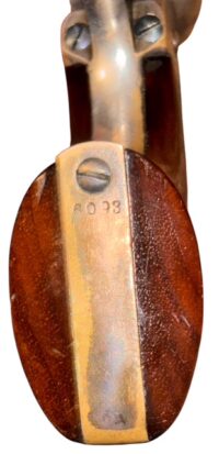 Photoroom_20260216_152542