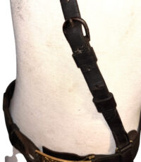 Photoroom_20260217_232551