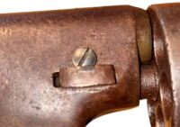 Photoroom_20260219_134721