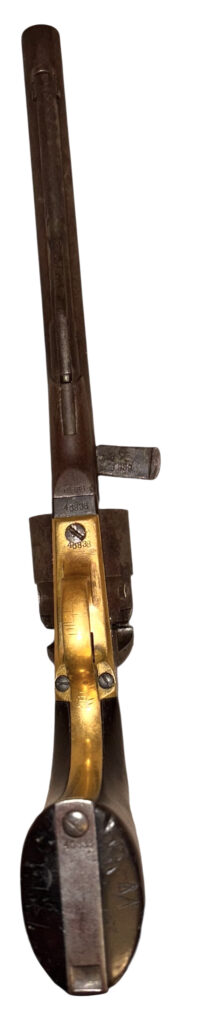 Photoroom_20260219_135848