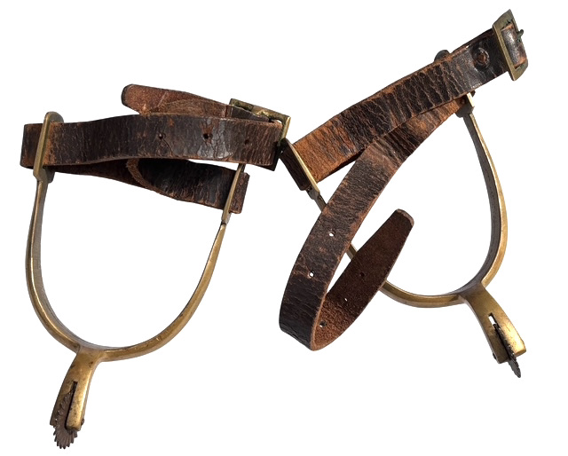 Photoroom_20260222_212155