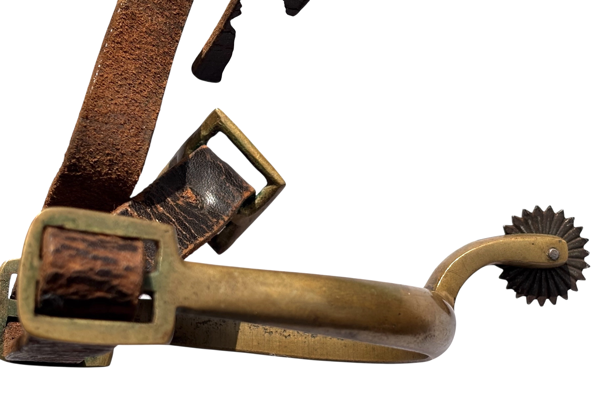 Photoroom_20260222_212842