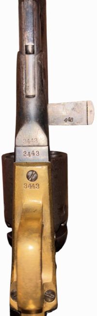 Photoroom_20260311_235251