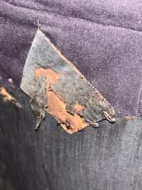 Photoroom_20260312_182935