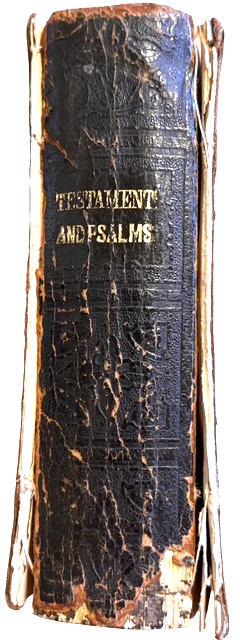 Photoroom_20260411_003737