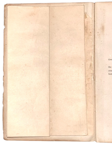 Photoroom_20260413_163916